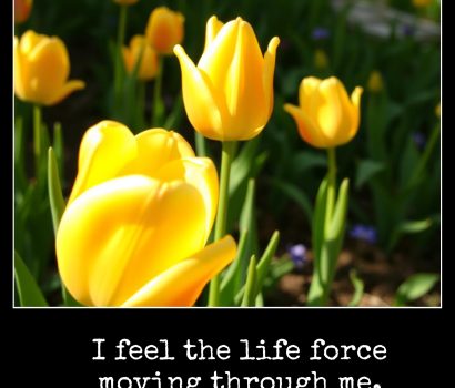 June 2 I feel the life force moving through me.