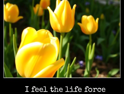 June 2 I feel the life force moving through me.