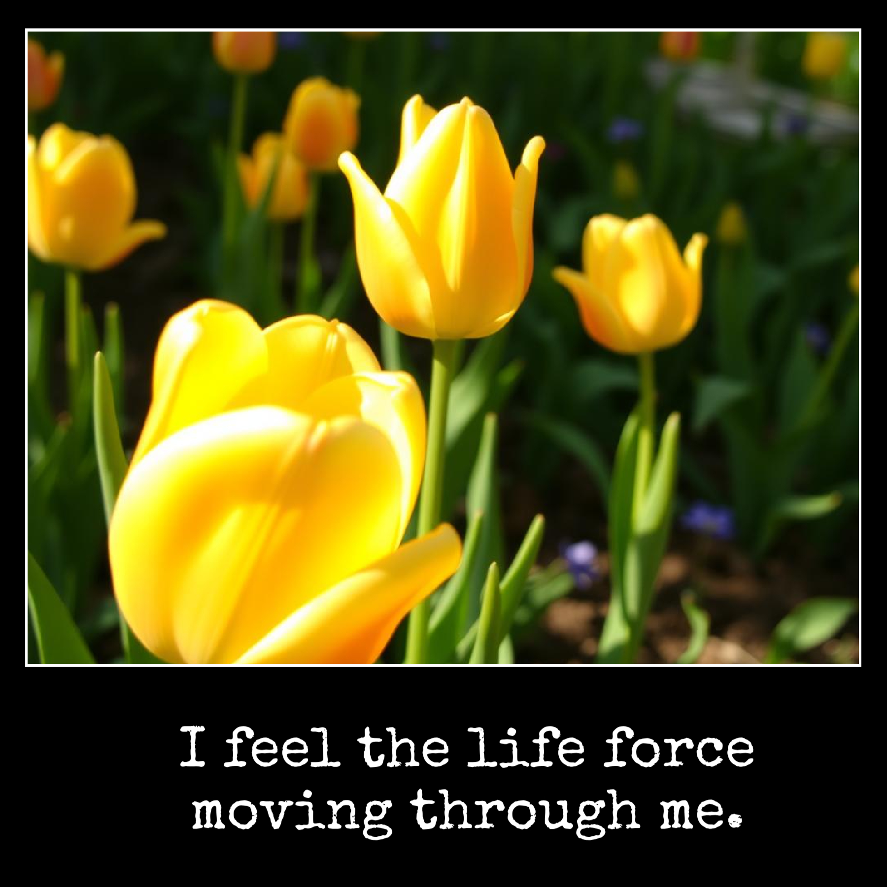 June 2 I feel the life force moving through me.