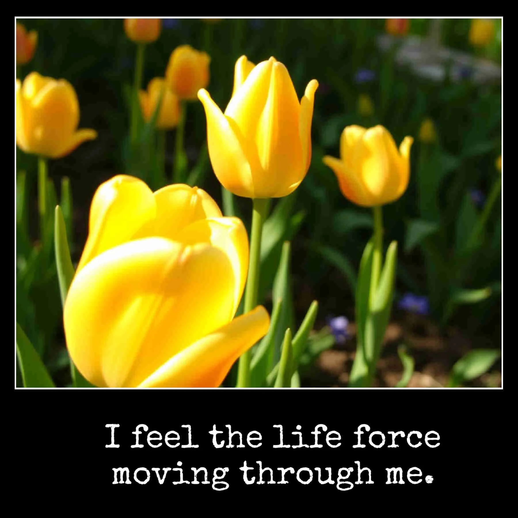 June 2 I feel the life force moving through me.