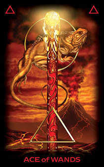 ace ofwands