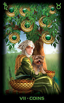 seven of coins